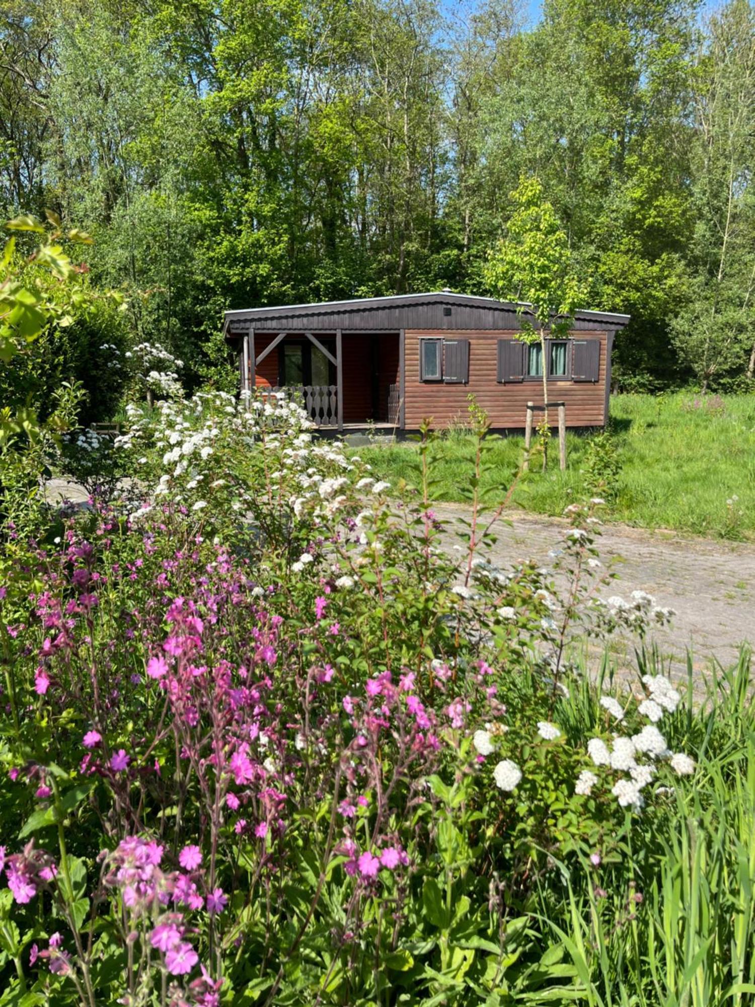 Hoeve Veganza B&B Vlagtwedde Bagian luar foto