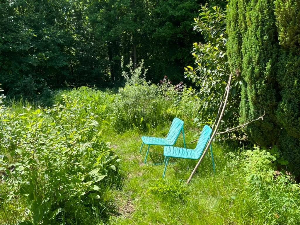 Hoeve Veganza B&B Vlagtwedde Bagian luar foto