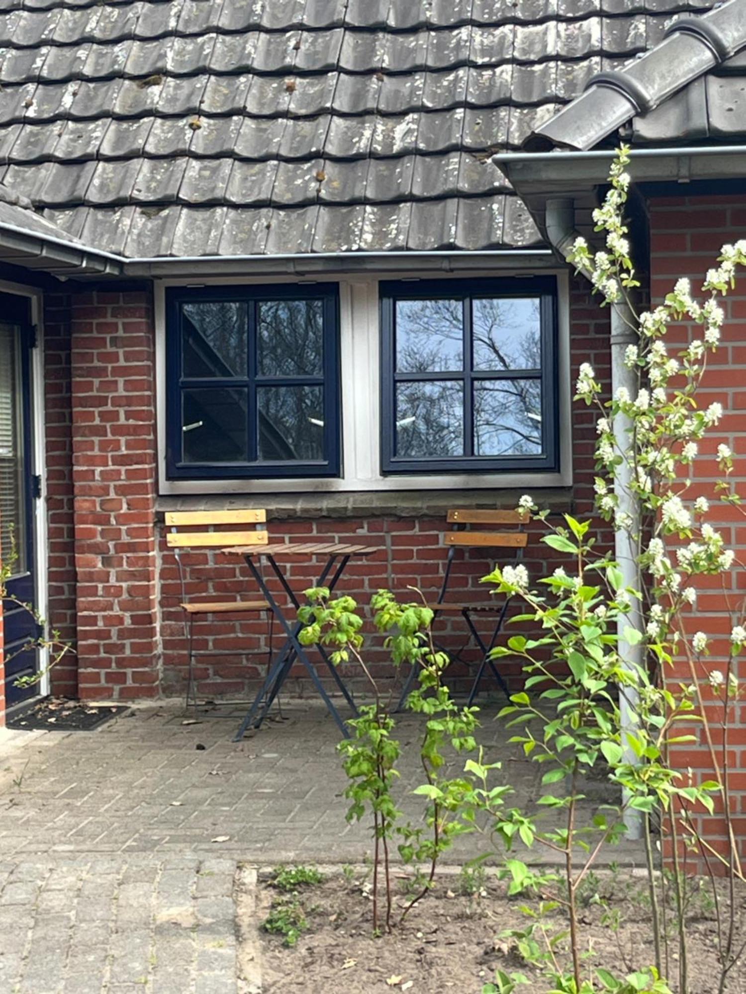 Hoeve Veganza B&B Vlagtwedde Bagian luar foto