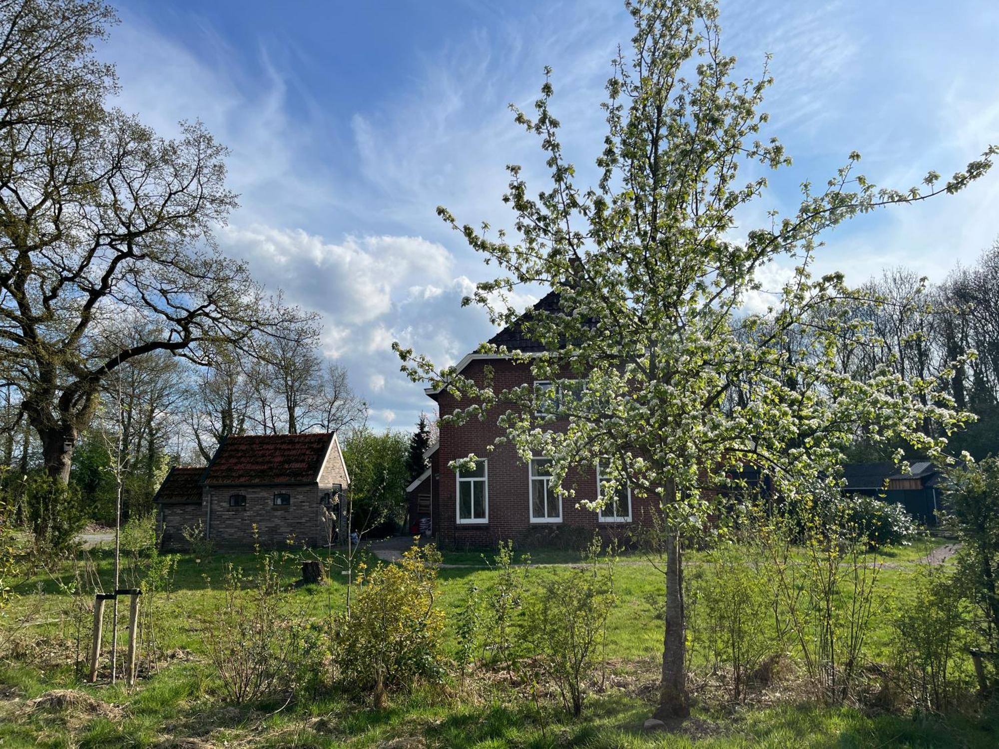 Hoeve Veganza B&B Vlagtwedde Bagian luar foto