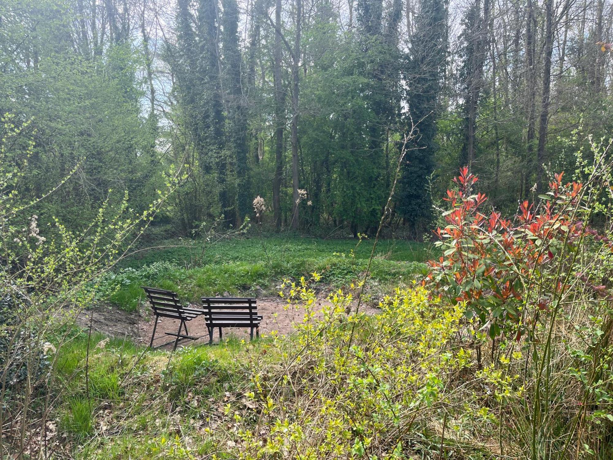 Hoeve Veganza B&B Vlagtwedde Bagian luar foto