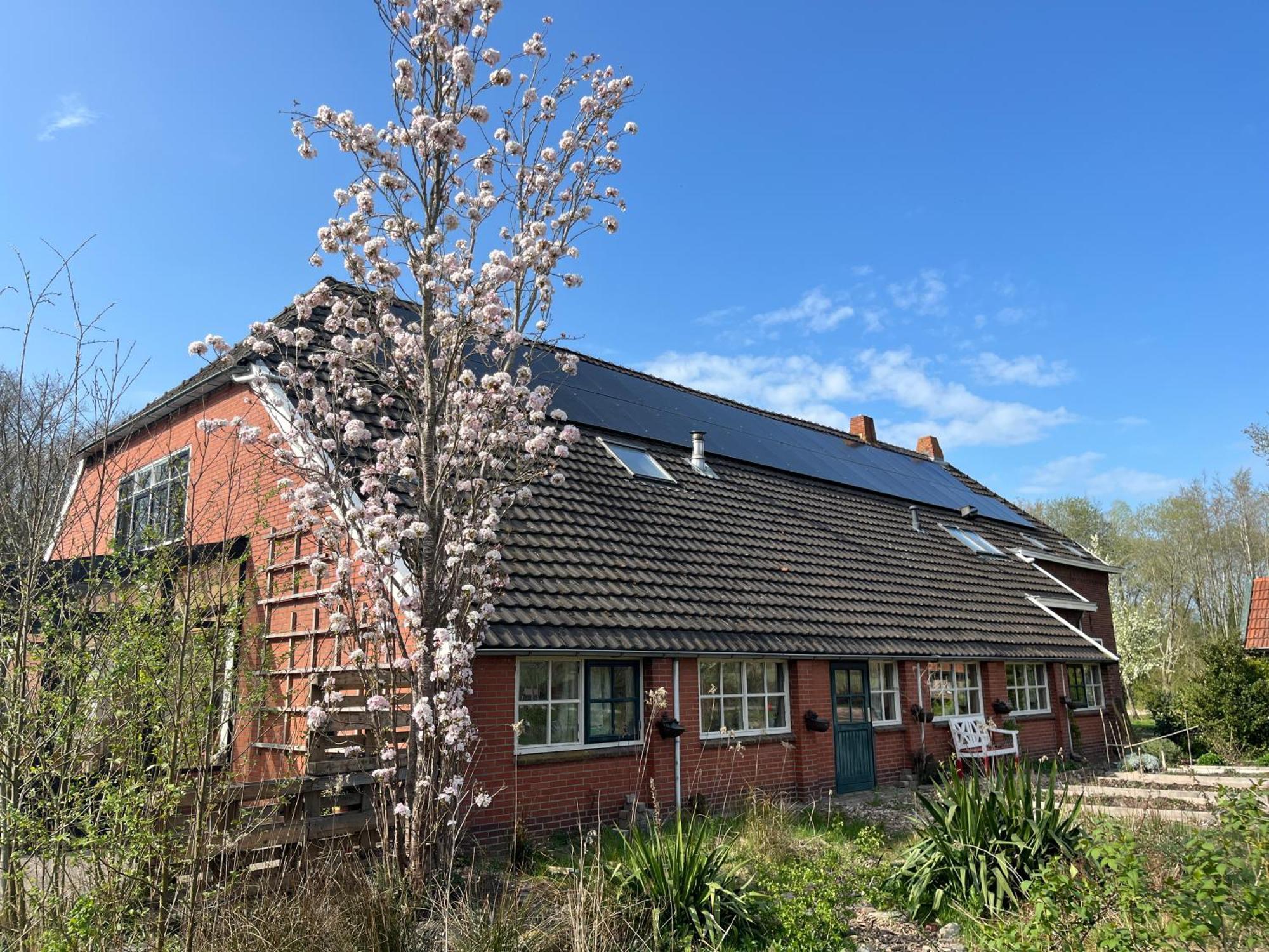Hoeve Veganza B&B Vlagtwedde Bagian luar foto